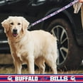 thumbnail image 3 of Pets First NFL Licensed Buffalo Bills Large Satin Dog Leash, 3 of 3