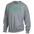 thumbnail image 2 of Men's ComfortWash Gray North Texas Mean Green Garment Dyed Fleece Crewneck Pullover Sweatshirt, 2 of 3