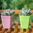 thumbnail image 5 of 8 Pack 3 Inch Plastic Plant Pots, Happon Seedling Nursery Pots, Succulent Planter Container for Garden Room Office Balcony Decor, Random Colors, 5 of 7