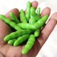 thumbnail image 3 of Coofit 24 Pcs Légumes Artificiels Réalistes Haricot Vert Légume Simulé Accessoire Photo, 3 of 7