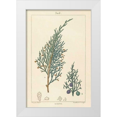 Wild Apple Portfolio 23x32 White Modern Wood Framed Museum Art Print Titled - Sabine Drawing