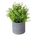 thumbnail image 2 of Gwong Decoración hogareña Pote artificial Pot Grass Desktop Decoration Partidos de boda de plástico Simulación decorativa Bonsai para jardín Gwong 21061525, 2 of 6