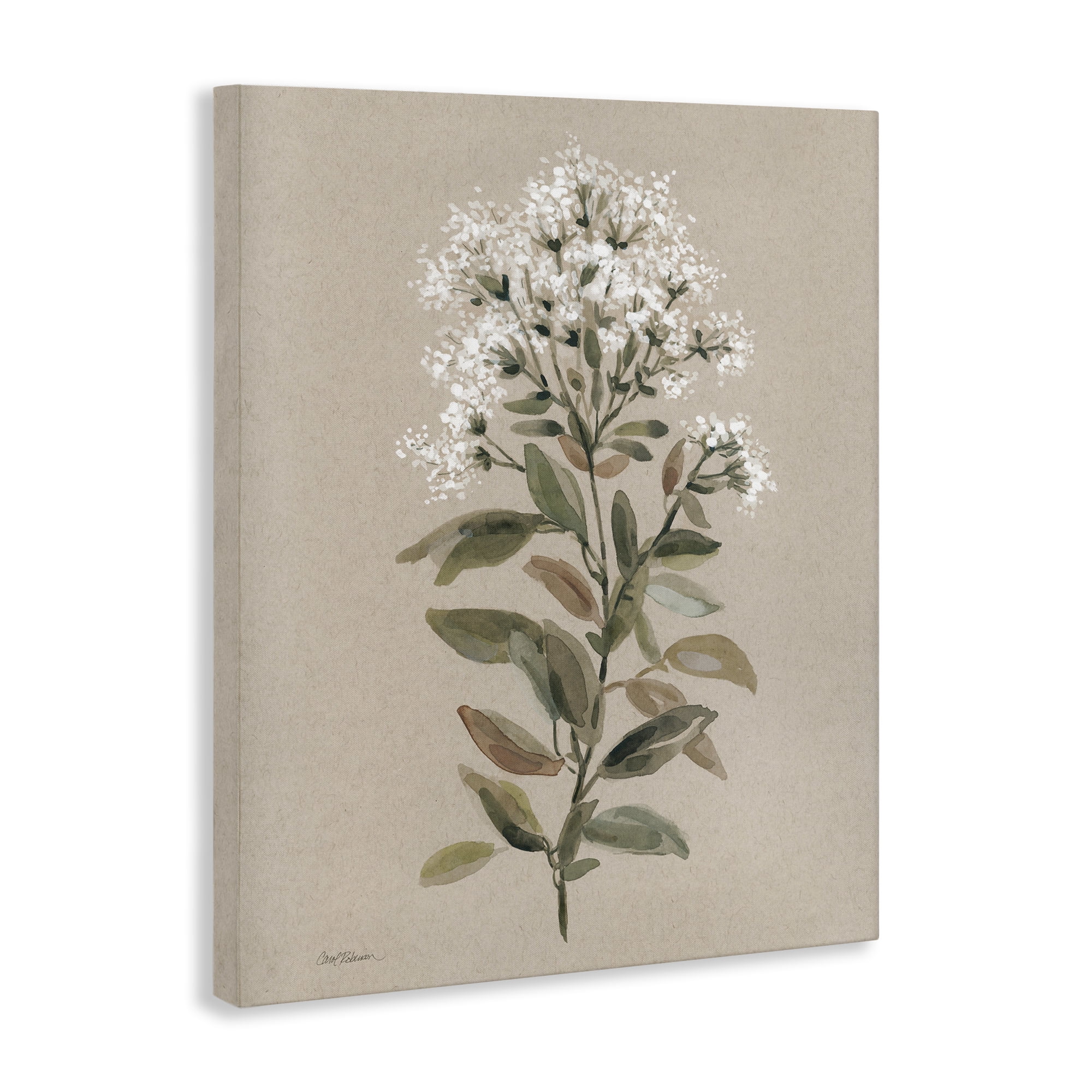 Stupell Industries Blooming Watercolor Flower Botanical & Floral Painting Gallery Wrapped Canvas Art Print Wall Art, 36 x 48