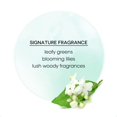 thumbnail image 5 of MISS SPA Juego de mascarillas faciales iluminadoras de oro de 24 quilates, péptidos ricos en antioxidantes, tez hidratada y brillante, antienvejecimiento, cuidado de la piel antiarrugas para mujeres,, 5 of 5