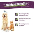 thumbnail image 3 of Amber NaturalZ Kidney Health for Pets | Pet Herbal Supplement for Kidney Wellness 4oz, 3 of 7