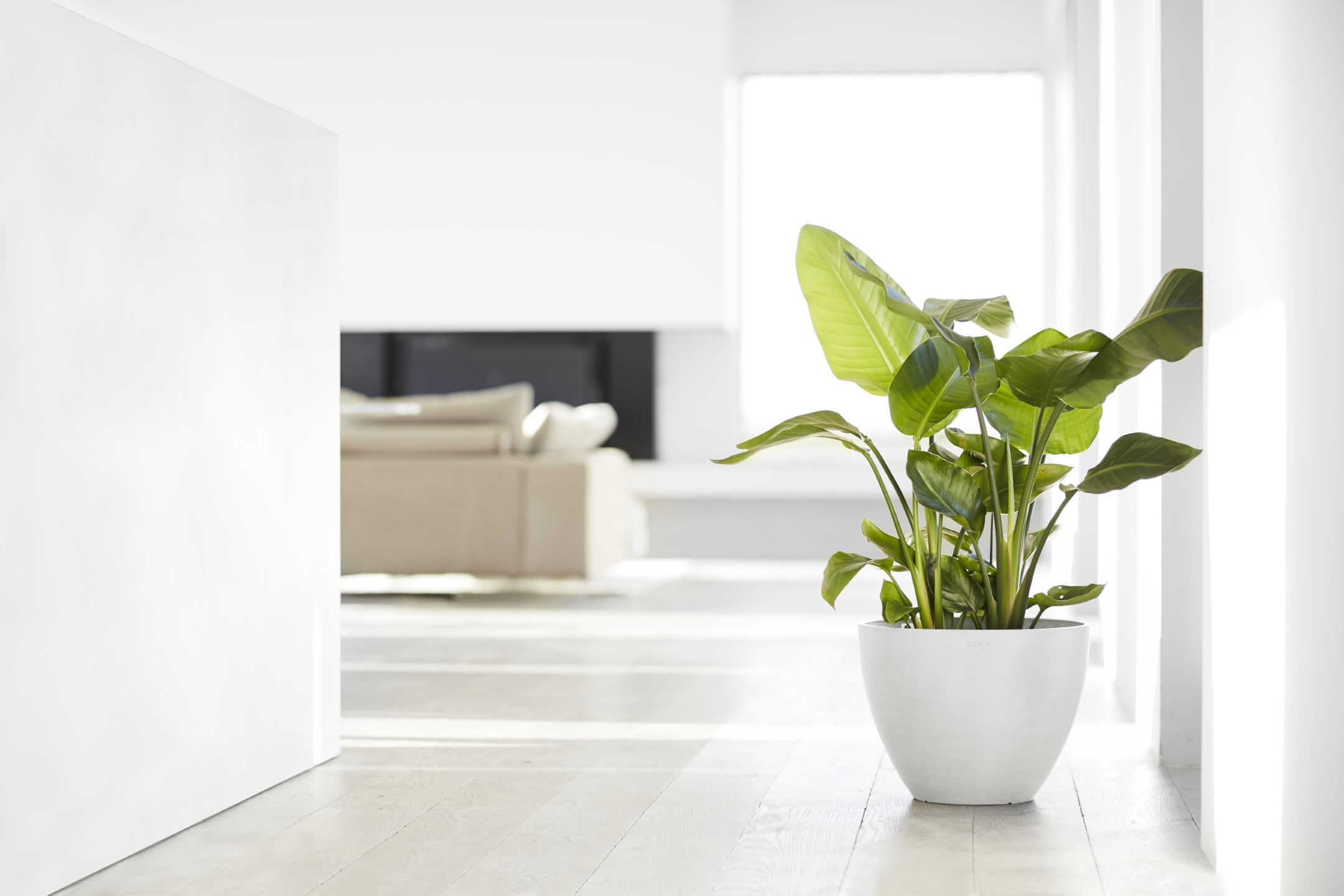 Ecopots Antwerp Durable Modern Round Indoor/Outdoor Recycled Based Composite Flower Pot Planter, Pure White, 16"