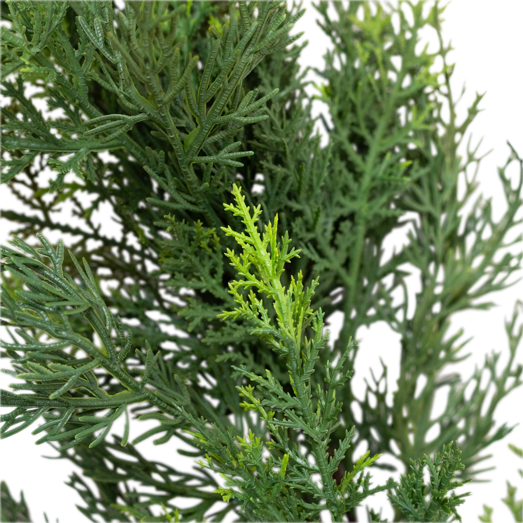 Cedar Artificial Christmas Garland - 6' x 14" - Unlit
