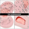 thumbnail image 5 of Ear Acupuncture Model Professional Reflexology Acupoint Learning Display Laboratory Supplies, 5 of 5