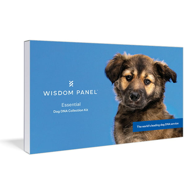 Wisdom Panel Essential Canine DNA Test