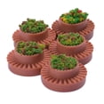 thumbnail image 3 of 5 piezas de plantas modelo de bonsái para kits de construcción arena 1:50 O Yotijar Camas de flores cuadradas en miniatura, 3 of 7