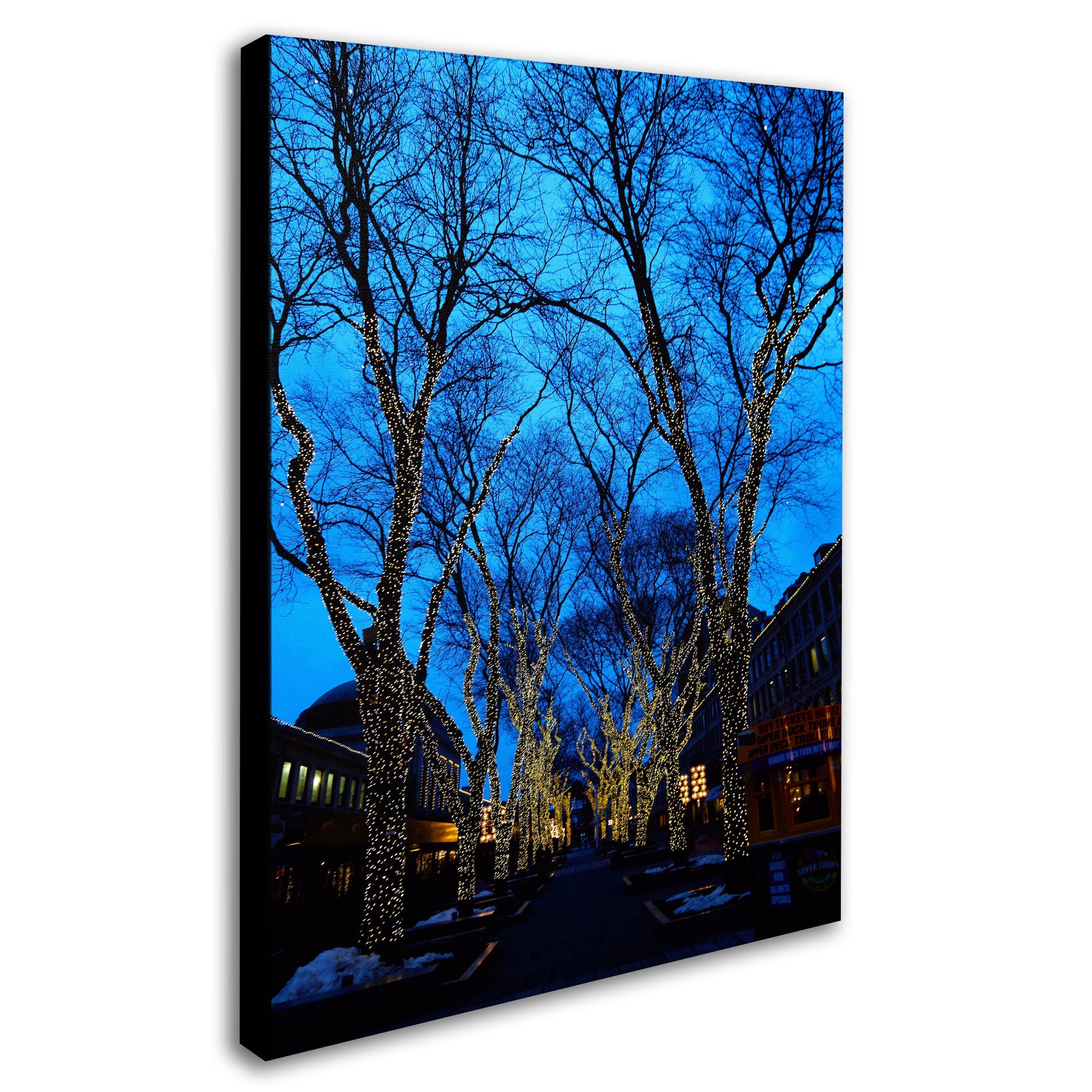 Trademark Fine Art "Boston 2" Canvas Art by CATeyes
