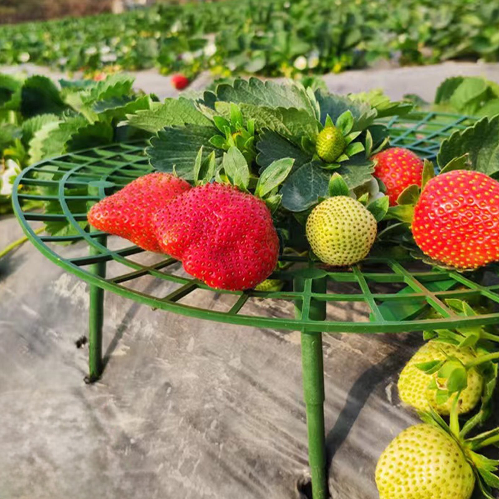 4 Pack Strawberry Supports Prevent Rot, ZzCityTK Adjustable Plastic Garden Frame for Strawberries, Sturdy PE Tray Holders Keep Fruit Off Ground Fresh for Orchard Home Garden