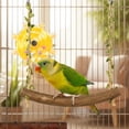 thumbnail image 4 of Bird Toys for Parakeets, Interactive Spinner Rattle Budgie Toys with Grinding Perch, Rotating Wheel Chew Parrot Toys for Medium Birds, 4 of 9