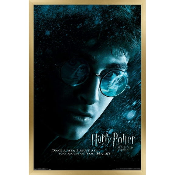 Harry Potter and the Half-Blood Prince - Ghost Wall Poster, 14.725" x 22.375", Framed