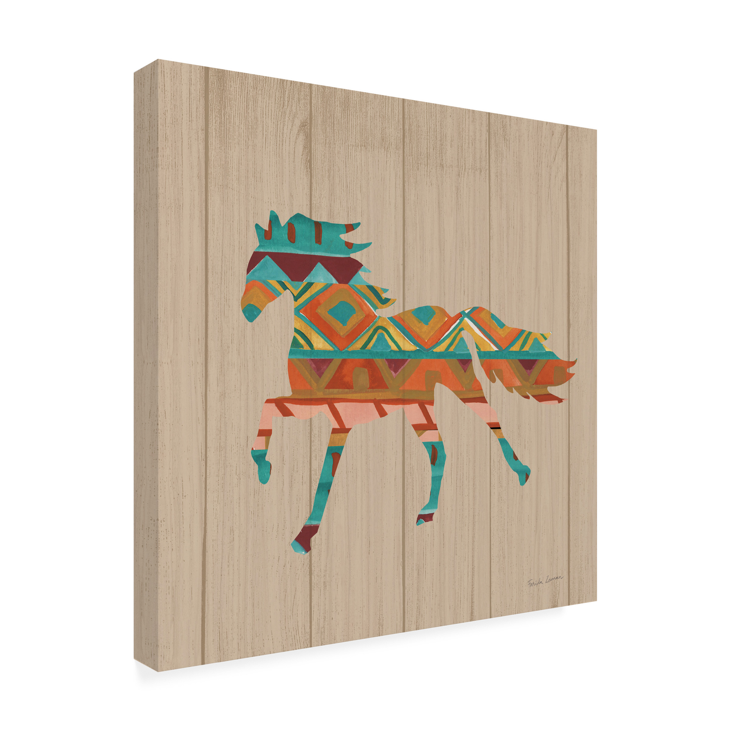 Trademark Fine Art 'Southwestern Vibes IV on Walnut' Canvas Art by Farida Zaman