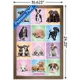 thumbnail image 3 of Keith Kimberlin - Puppies - Cuties Grid, 3 of 5