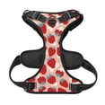 thumbnail image 5 of Picia Red Strawberry No-Pull Dog Harness Reflective Front Clip Vest with Handle,Step-in Air Dog Harness,Adjustable 2 Metal Rings 4 Buckles,Easy to Put on & Take Off Small, 5 of 9