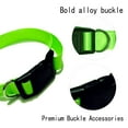 thumbnail image 3 of Collar impermeable para perros, equipo para perros desodorante, cinta de nailon recubierta con rayas reflectantes, 3 of 5
