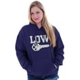 thumbnail image 3 of Low Key Nerd Sarcastic Pun Funny Geek Hoodie Sweatshirt Women Men Brisco Brands S, 3 of 6