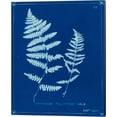 thumbnail image 3 of Great Art Now Cyanotype Ferns B by Unknown 2 Piece Canvas Art Set Each 12"W x 15"H, 3 of 3