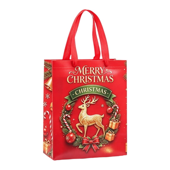 Clearance Under $1 Holiday Gift Tote, Non Woven Bag with Handle for Presents Style C