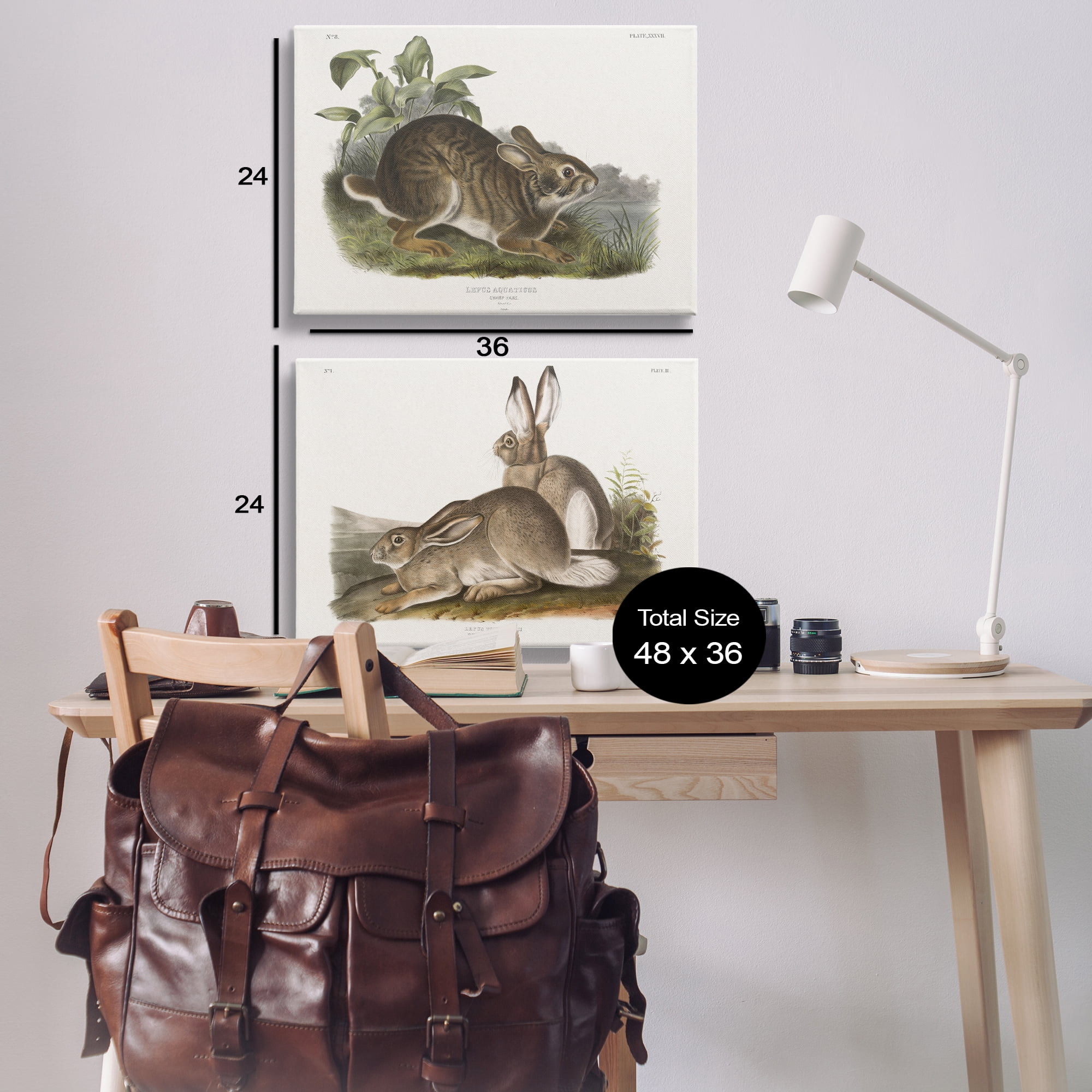 Stupell Industries Gentle Resting Cottage Rabbit Animals Painting Wrapped Canvas Art Print Wall Art, 36 x 24, Set of 2