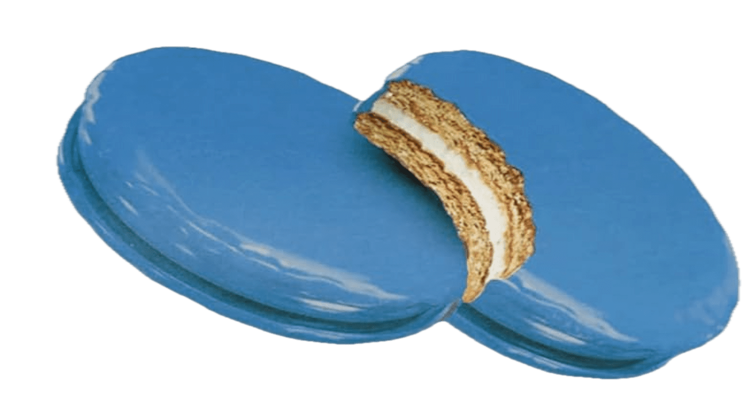 Moon Pies Mini Bulk 72 Individually Wrapped Moon Pie 12 Boxes 6 Each Box Blueberry
