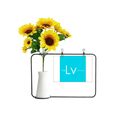 thumbnail image 1 of Chestry Elements Period Table Poor Metals Livermorium Artificial Sunflower Vases Bottle Blessing Card, 1 of 3
