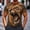 A12 Dark Gray, variant on Men's 3D Panda Printed Graphic T-Shirts Funny Animal Face Novelty Tees Short Sleeve Crew Neck Casual Summer Pullover Tops for Men Everyday Wear