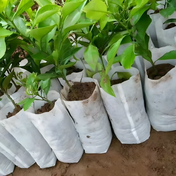 ZULAR 200Pcs Biodegradable Non-Woven Nursery Bags Plant Grow Bags Fabric Seedling Bags Home Garden Supply