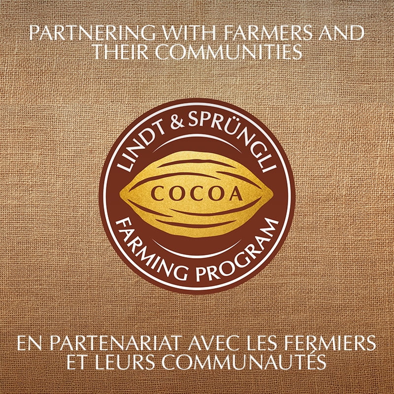 Lindt EXCELLENCE 70% Cacao Dark Chocolate Bar, 100 Grams, 100 g