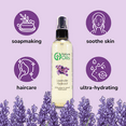 thumbnail image 6 of Lavender Hydrosol - 16 fl oz - White Plastic Jug w/ Cap, 6 of 10