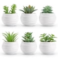 thumbnail image 1 of Set de suculentas artificiales Der Rose con 6 plantas para decoración del hogar, 1 of 6