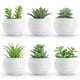 thumbnail image 1 of Set de suculentas artificiales Der Rose con 6 plantas para decoración del hogar, 1 of 6