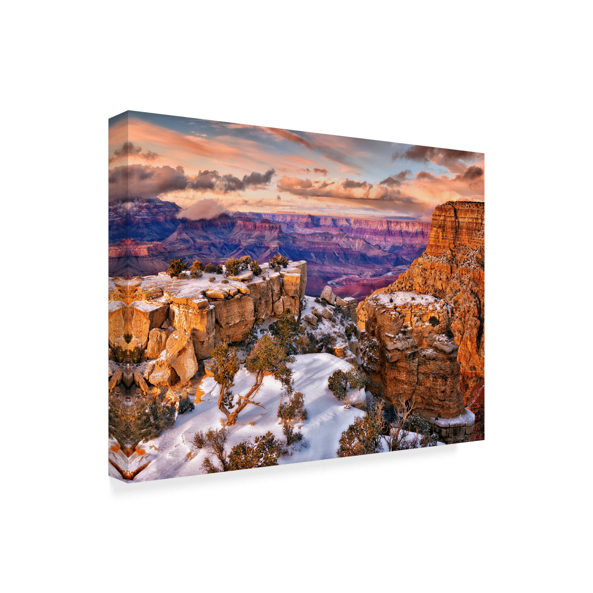 Trademark Fine Art 'Snowy Grand Canyon V' Canvas Art by David Drost