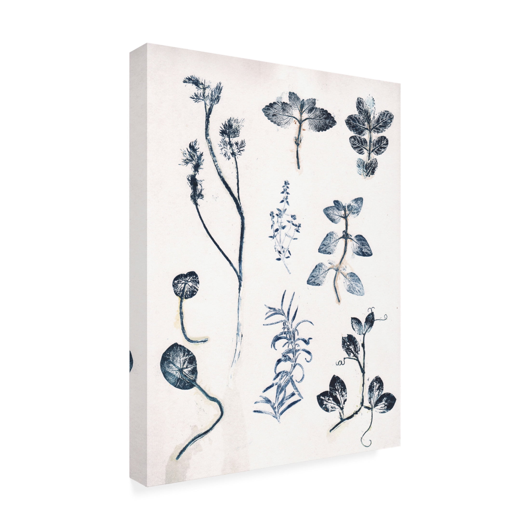 Canvas Wall Art - Pernille Folcarelli 'Herbs Garden Blue' Wall Art for Living Room, Bedroom, or Office Décor by Trademark Fine Art - 35 x 47 Inches