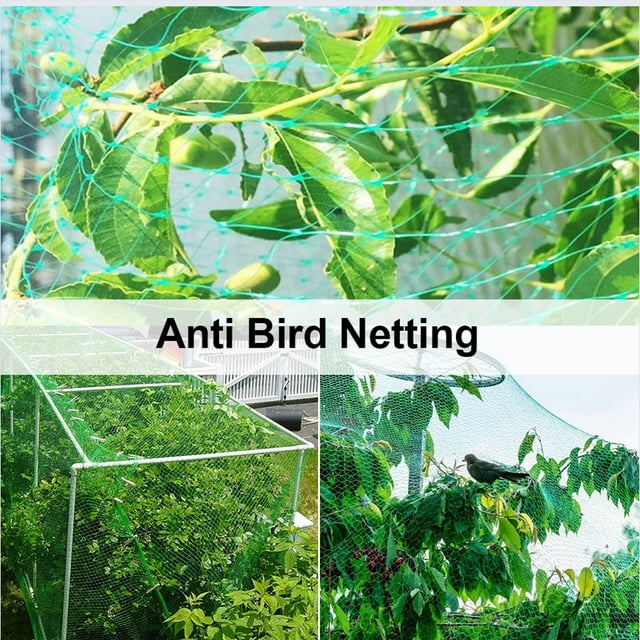 pitrice Anti-Oiseaux Filets de Jardinage Plantes Maille Cerf Ciel Nylon Filets Multifonctions Légumes Protection Usure Barrière de Type 5