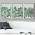 thumbnail image 3 of wall26 Framed Canvas Print Wall Art Set Desert Succulent Variety Closeup Floral Plants Photography Realism Southwest Group Colorful Multicolor Cool for Living Room, Bedroom, Office - 16"x24&quot, 3 of 5