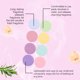 thumbnail image 2 of OceAura Bath Aromatherapy Tablet Gentle, Clean And Fresh Aromatherapy For Body And Skin, Leaving A Variety Of Fragrance, 2 of 5