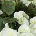 thumbnail image 2 of Vickerman Artificial 20" White Geranium Bush, 4 per Pack., 2 of 5
