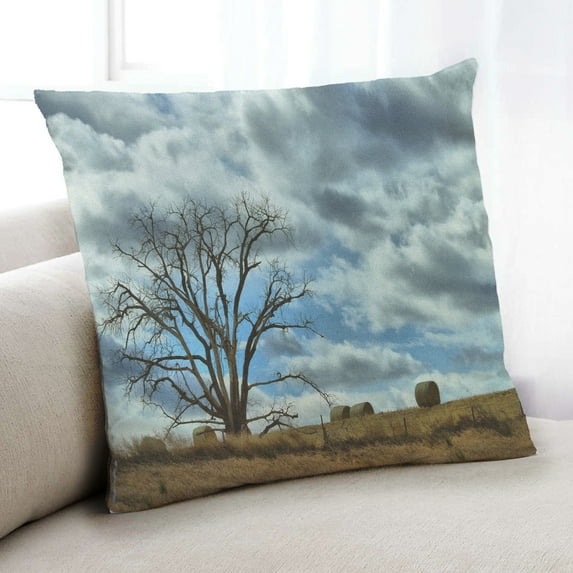 Ahgly Company State Kansas Indoor Throw Pillow, 18 inch by 18 inch