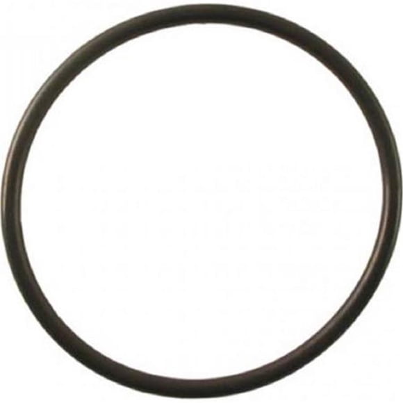 2 Replacement O Ring