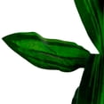 thumbnail image 2 of planta artificial de polietileno dracena 90 x 30 cm con maceta de cemento, 2 of 3