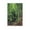 Unframe-style, variant on Ivan Shishkin Poster Forest-aspen Poster Cool Artworks Painting Wall Art Canvas Prints Hanging Picture Home Decor Posters Gift 16x24inch(40x60cm)