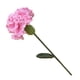thumbnail image 1 of flor de ganchillo,flor artificial clavel cumpleaños, día de san valentín boda aniversario cumpleaños fecha única Adepaton BST3008022-2, 1 of 6