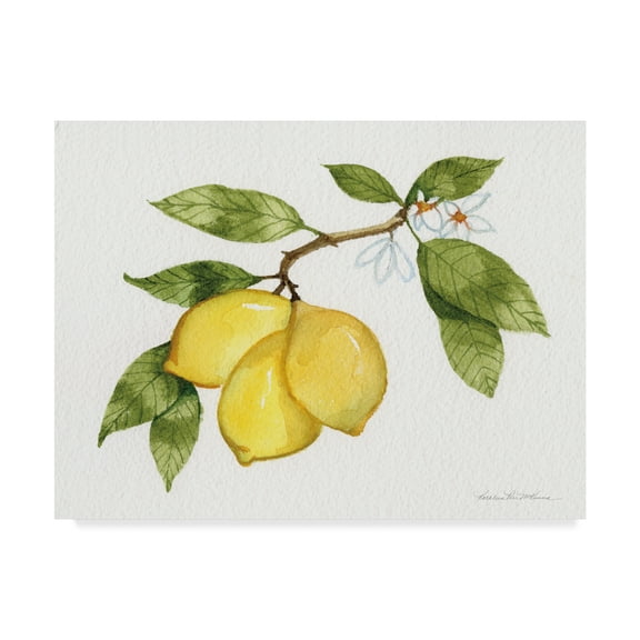 Trademark Fine Art 'Citrus Garden I' Canvas Art by Kathleen Parr McKenna