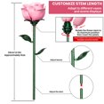 thumbnail image 3 of Set de construcción XGSHJ, ramo de rosas rosadas, paquete de 12 unidades para niñas y niños, 3 of 8