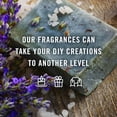 thumbnail image 2 of Winter Set of 6 Fragrance Oils - Premium Grade Scented Oil - 10ml - Cinnamon, Gingerbread, Sugar Cookies, Harvest Spice, Peppermint, Christmas Wreath, 2 of 6