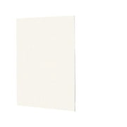 Swan Solid Surface 72'' x 60'' x 0.25'' One Panel Shower Wall