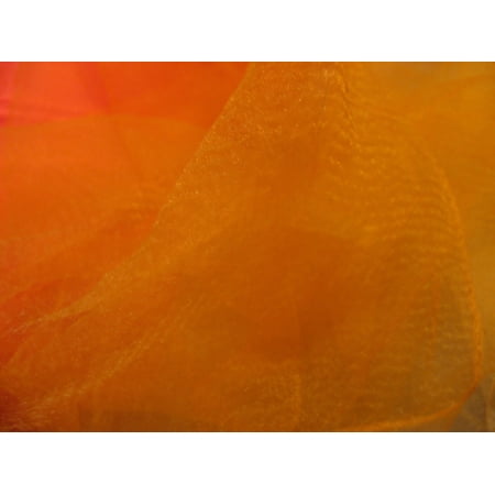 BLACKBIRD REDWING SPAWN FISHING SCARF 27in x 27in **NEW** EGG SAC / SPAWN SAC MESH (Orange)